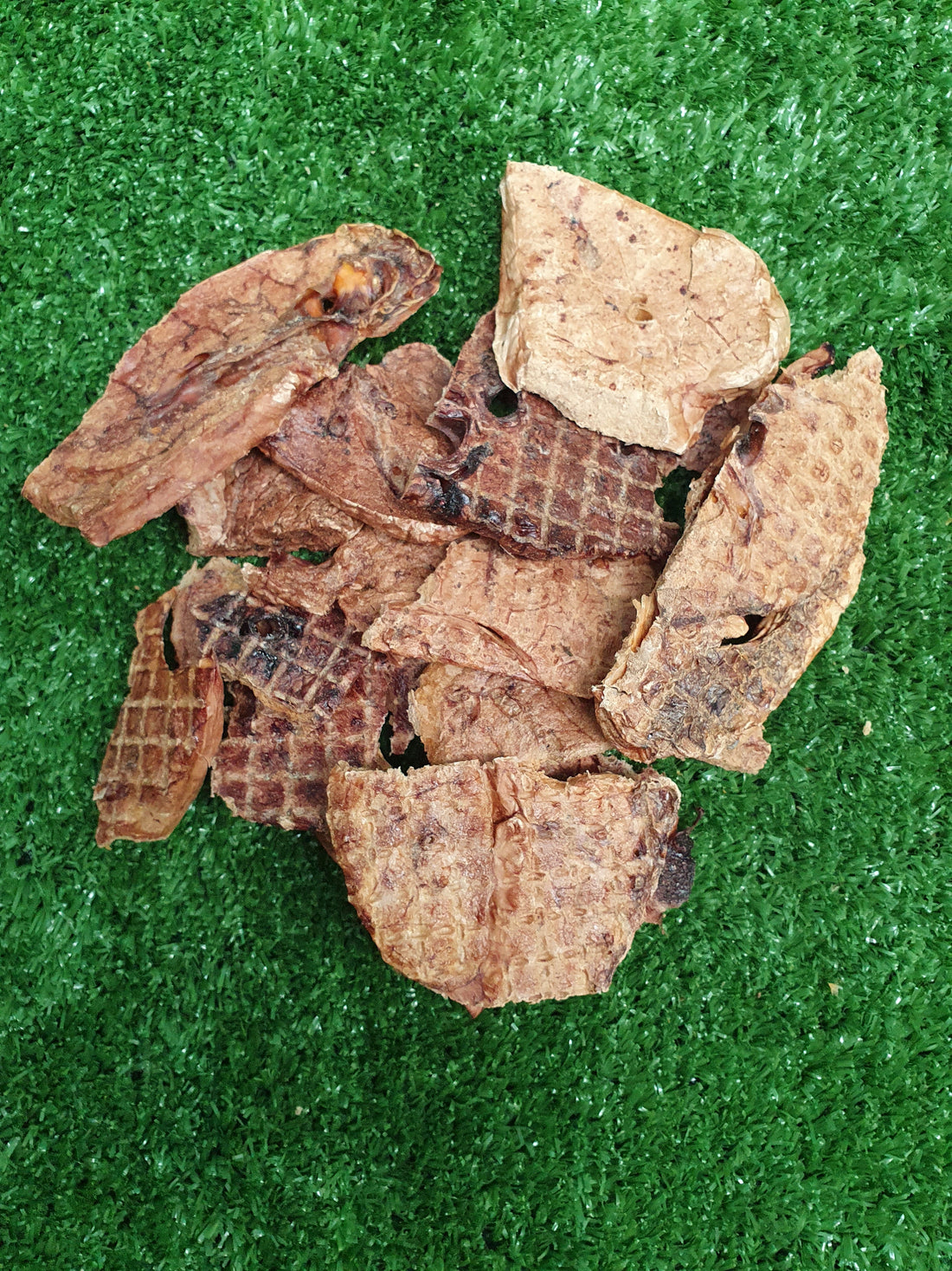 Benefits of Lamb Lung for Dogs