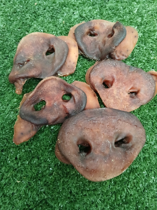 Benefits of Pig Snouts for Dogs