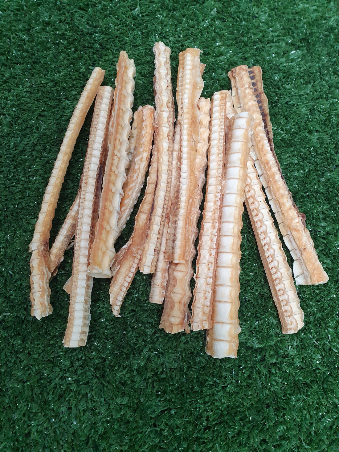 Benefits of Shark Cartliage for Dogs
