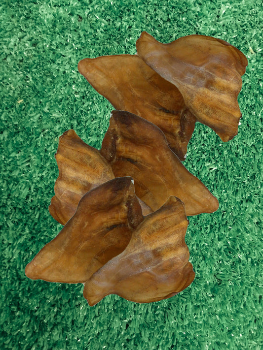 Benefits of Pigs Ears for Dogs