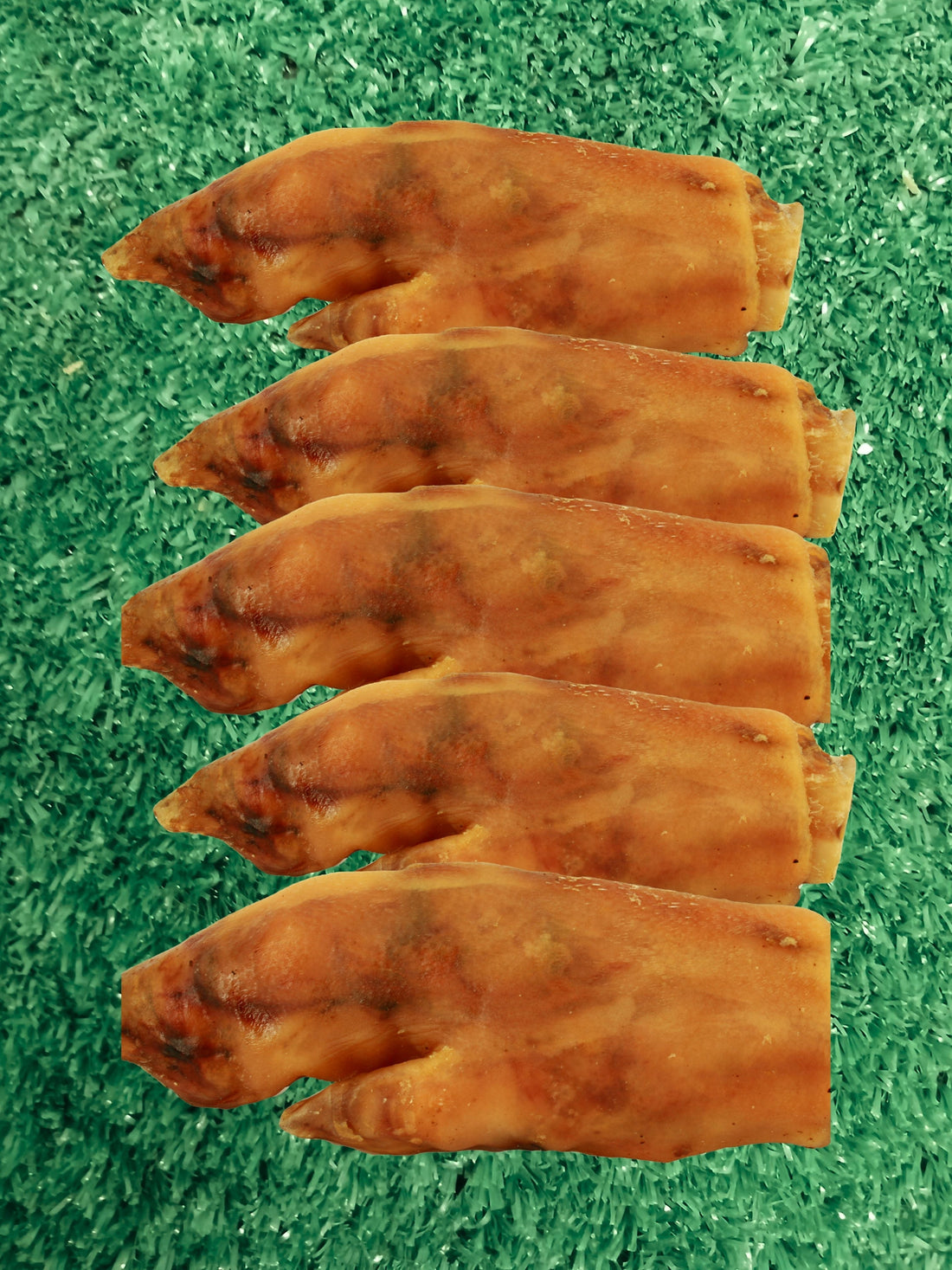 Benefits of Pig Trotters for Dogs