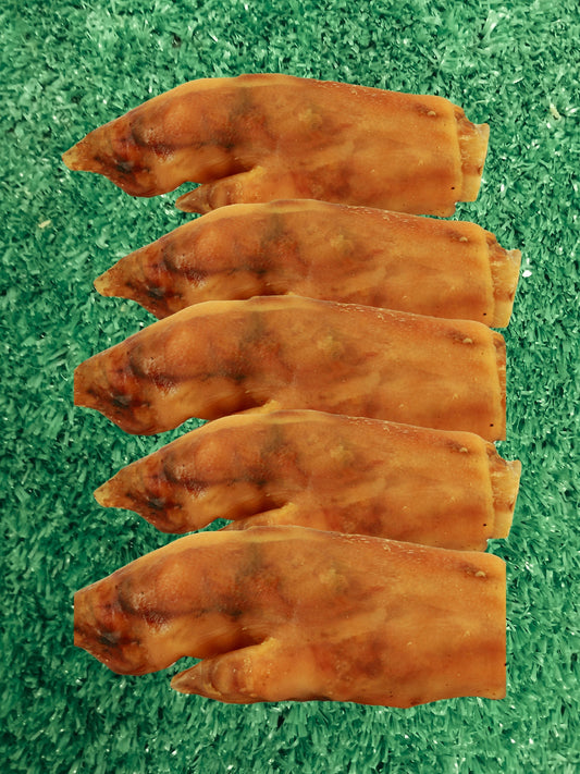 Benefits of Pig Trotters for Dogs